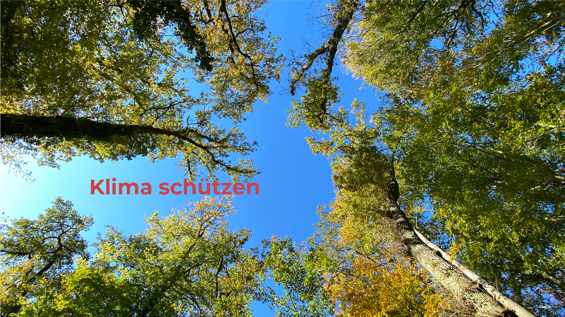 Bild Klima schützen